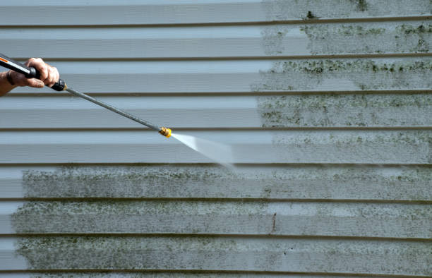 Best Gutter Cleaning and Brightening in Shoreview, MN