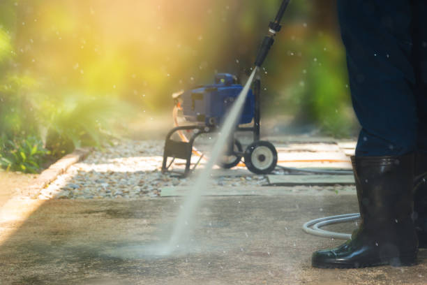 Best Driveway Cleaning and Restoration in Shoreview, MN